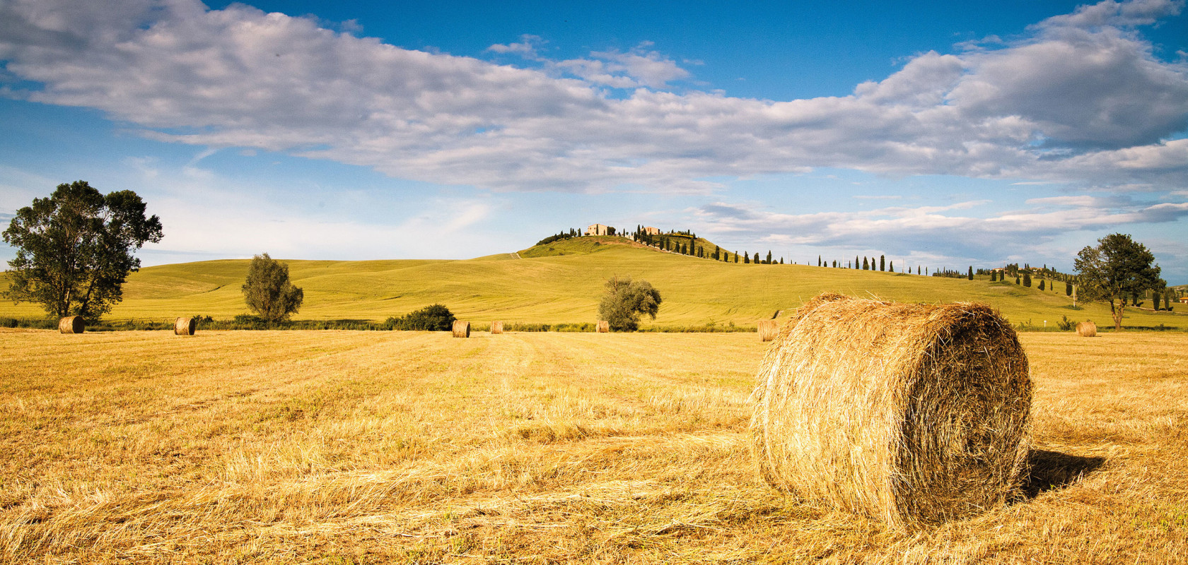 Tour Guidati, Wine Tour e Foto-Riprese con Drone