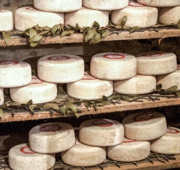 Pienza | and its  D.o.p  Pecorino cheese
