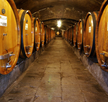 I nostri wine tour | Degustazioni in cantina